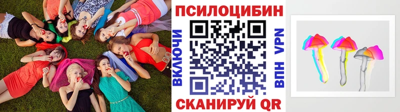 Купить закладки  Пушкино  Галлюциногенные грибы ЛСД 