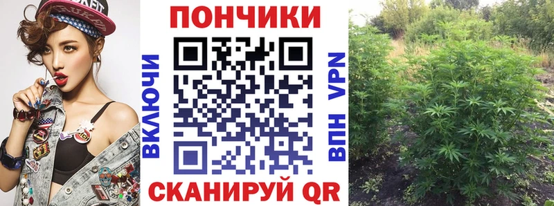 Купить закладки  Пушкино  Конопля индика 